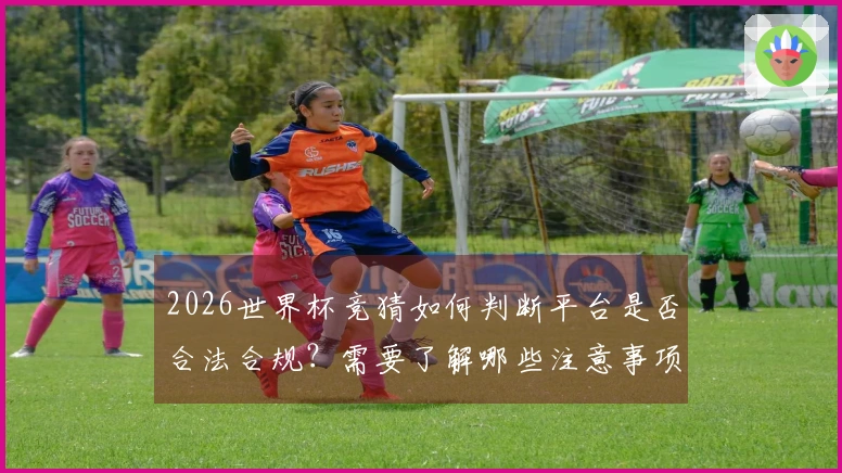 2026世界杯竞猜如何判断平台是否合法合规?需要了解哪些注意事项?