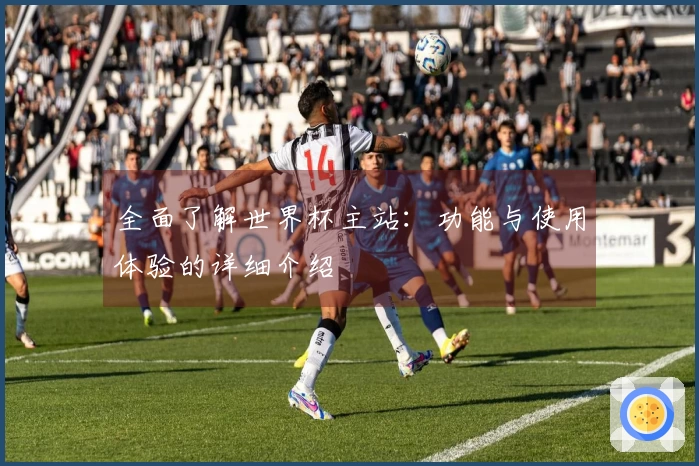 全面了解世界杯主站:功能与使用体验的详细介绍