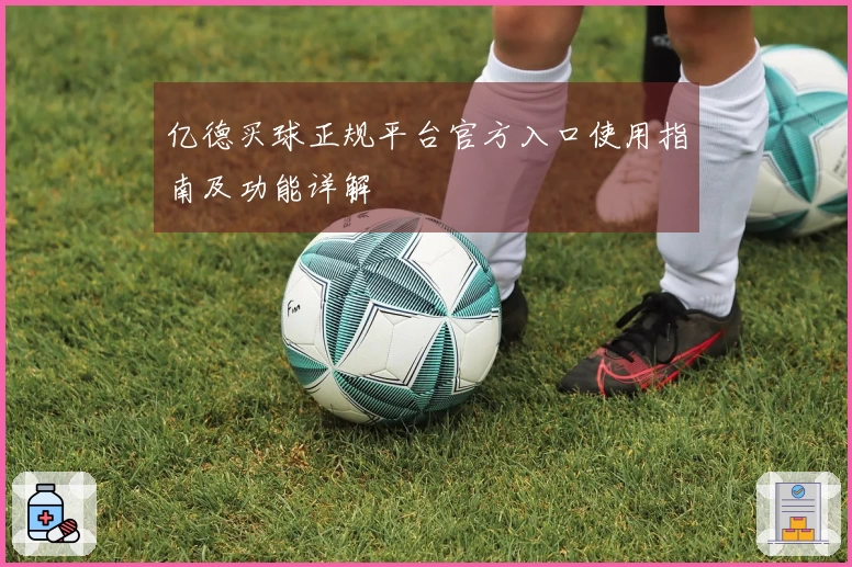 亿德买球正规平台官方入口使用指南及功能详解