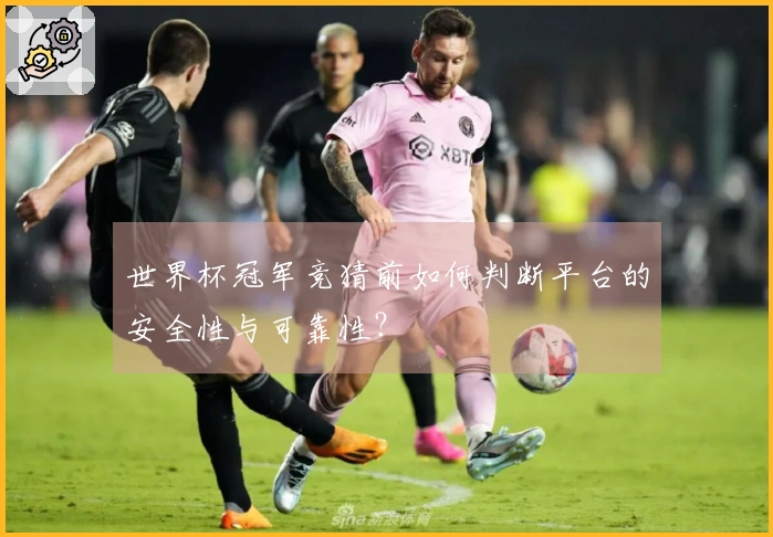 世界杯冠军竞猜前如何判断平台的安全性与可靠性？
