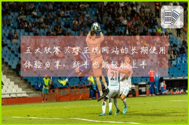 五大联赛买球正规网站的长期使用体验分享,新手也能轻松上手