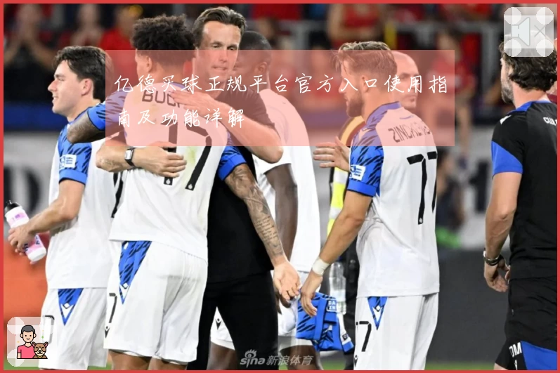 亿德买球正规平台官方入口使用指南及功能详解